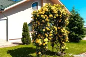 Casă / Vilă cu 4 camere de vânzare in Spataru, Buzau 
