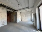 Spatiu Comercial I Pache Protopopescu