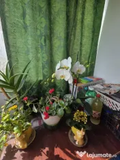 Apartament 2 camere decomandat, Mircea cel Batran, pozitie e 