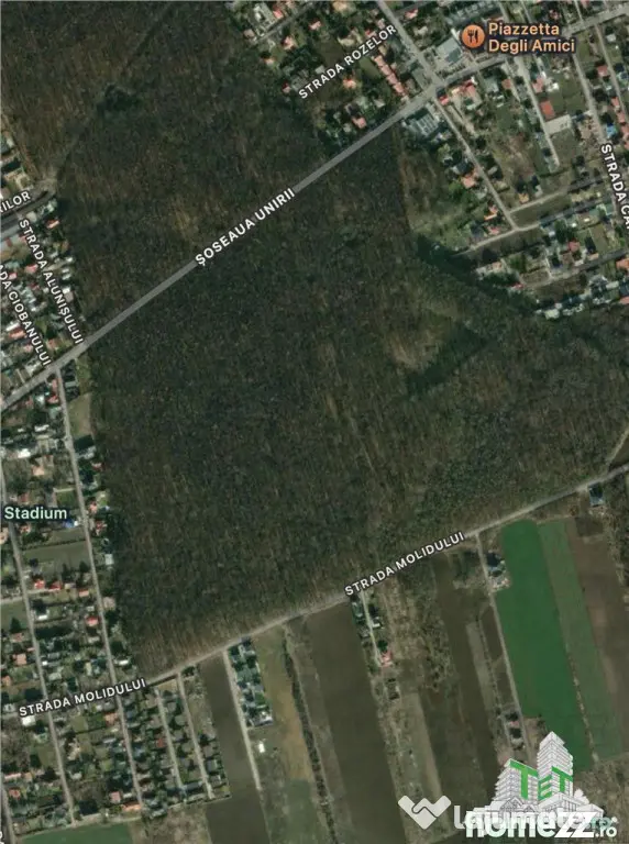 Teren de langa padure| Tamasi, Corbeanca | 1170mp