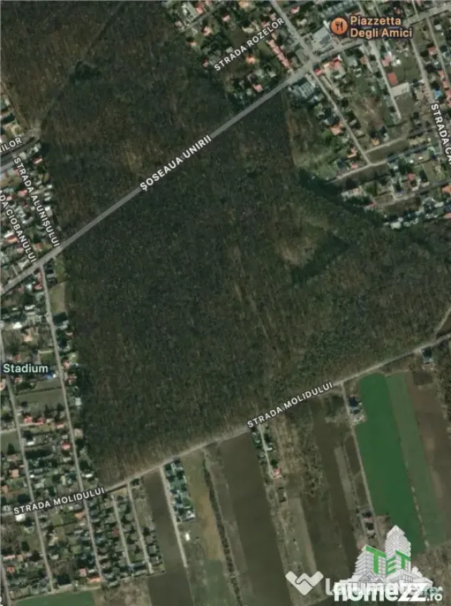 Teren de langa padure| Tamasi, Corbeanca | 1170mp