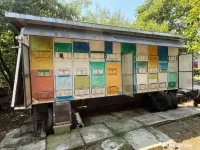 Vand pavilion apicol, inmatriculat apicol, 40 familii, stupi verticali 