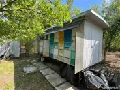 Pavilion apicol de vanzare - 40 familii, stupi verticali 