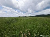 Teren extravilan de Talmaciu 