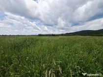 Teren extravilan de Talmaciu