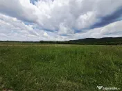 Teren extravilan de Talmaciu 