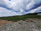 Teren extravilan de Talmaciu 