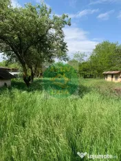 Teren si casa batraneasca de vanzare, zona Trifesti 