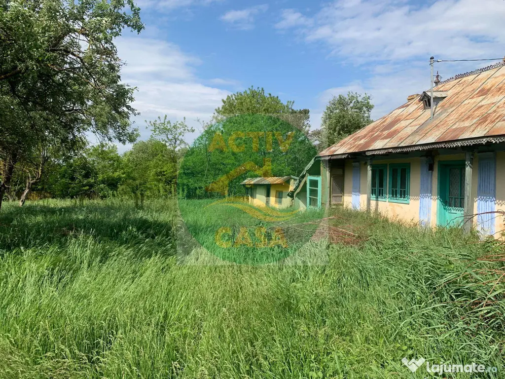 Teren si casa batraneasca de vanzare, zona Trifesti