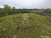 Teren intravilan 863 mp Viișoara, utilități pe teren