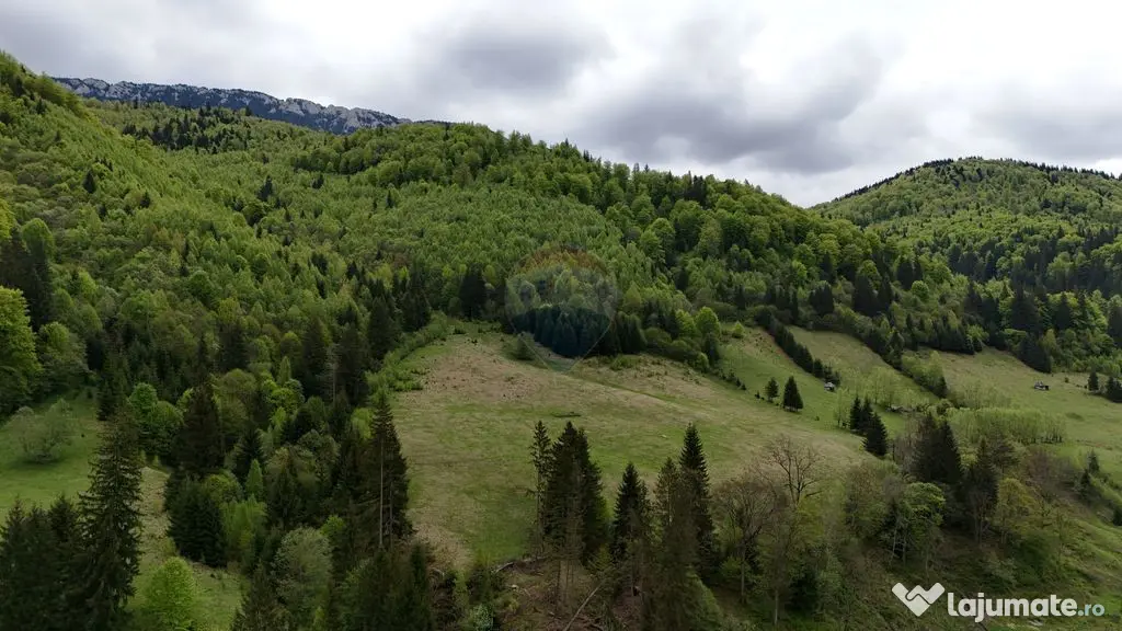 Extravilan + Intravilan | Sătic-Rucăr | Cadru natural |...