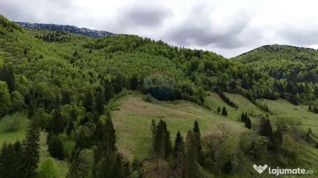 Extravilan + Intravilan | Sătic-Rucăr | Cadru natural |...