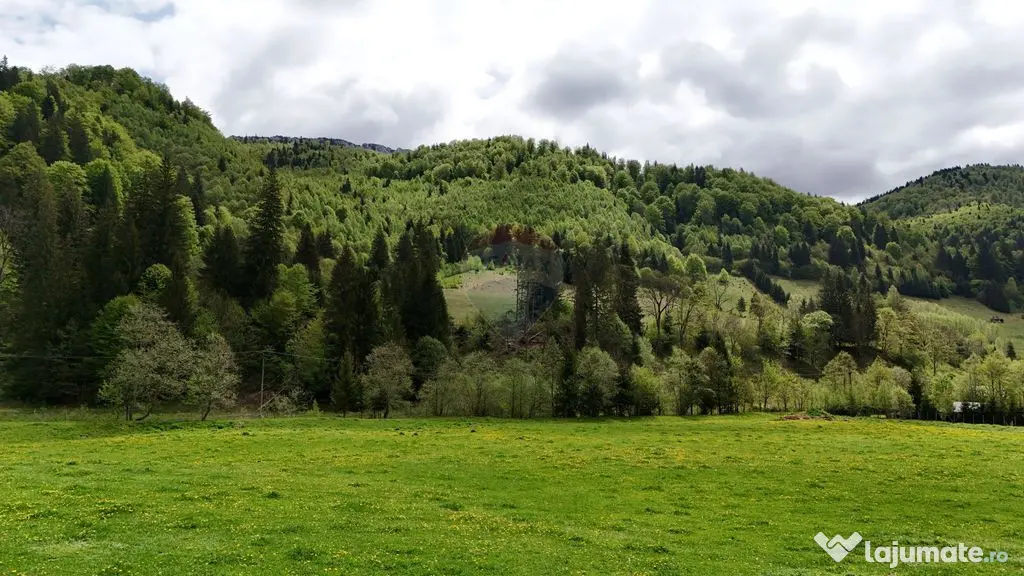 Extravilan + Intravilan | Sătic-Rucăr | Cadru natural |...