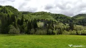 Extravilan + Intravilan | Sătic-Rucăr | Cadru natural |...