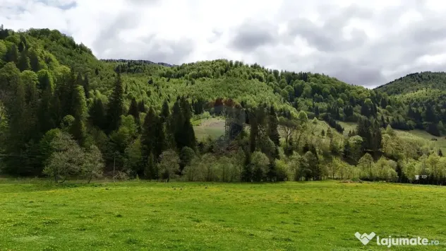 Extravilan + Intravilan | Sătic-Rucăr | Cadru natural |...