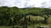 Extravilan + Intravilan | Sătic-Rucăr | Cadru natural |...