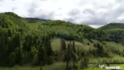 Extravilan + Intravilan | Sătic-Rucăr | Cadru natural |... 