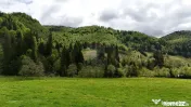 Extravilan + Intravilan | Sătic-Rucăr | Cadru natural |... 