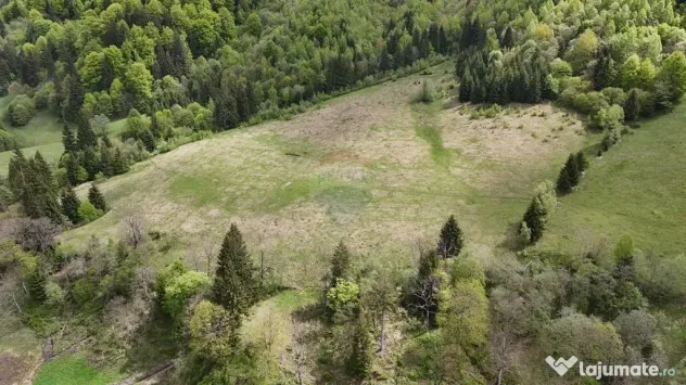 Extravilan + Intravilan | Sătic-Rucăr | Cadru natural |...