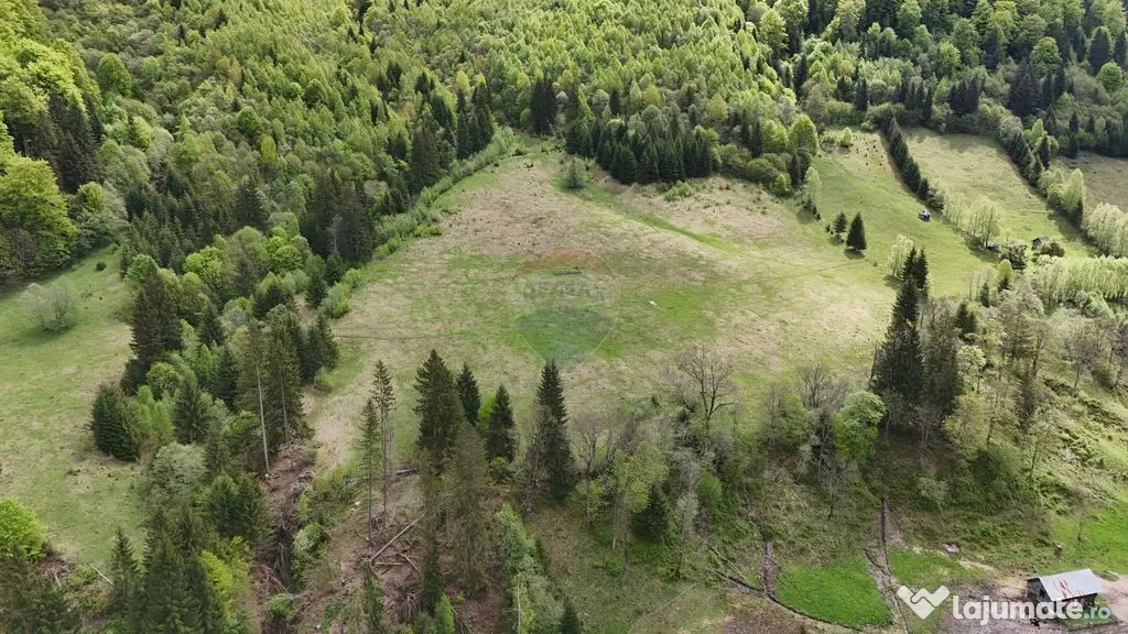 Extravilan + Intravilan | Sătic-Rucăr | Cadru natural |...