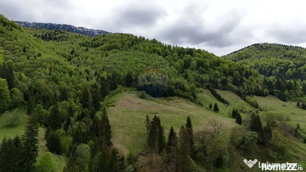 Extravilan + Intravilan | Sătic-Rucăr | Cadru natural |...