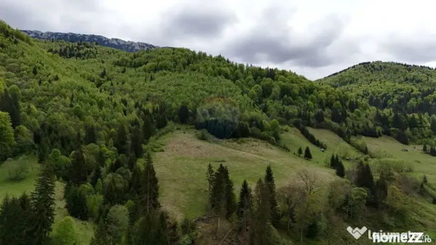 Extravilan + Intravilan | Sătic-Rucăr | Cadru natural |...