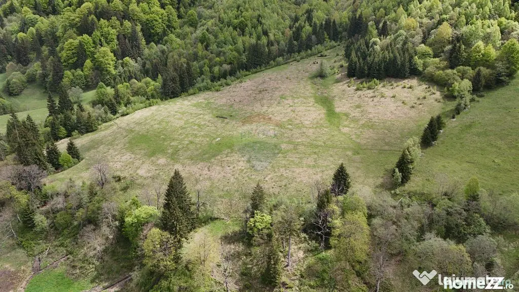 Extravilan + Intravilan | Sătic-Rucăr | Cadru natural |...