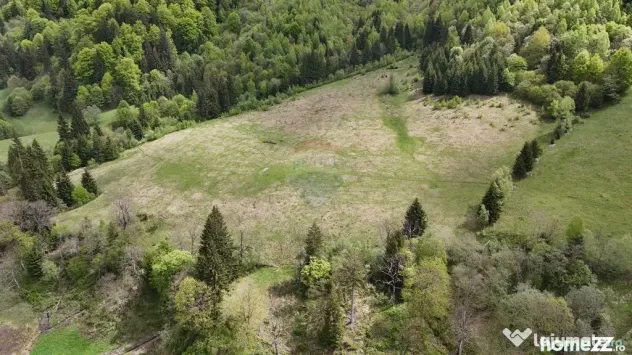 Extravilan + Intravilan | Sătic-Rucăr | Cadru natural |...