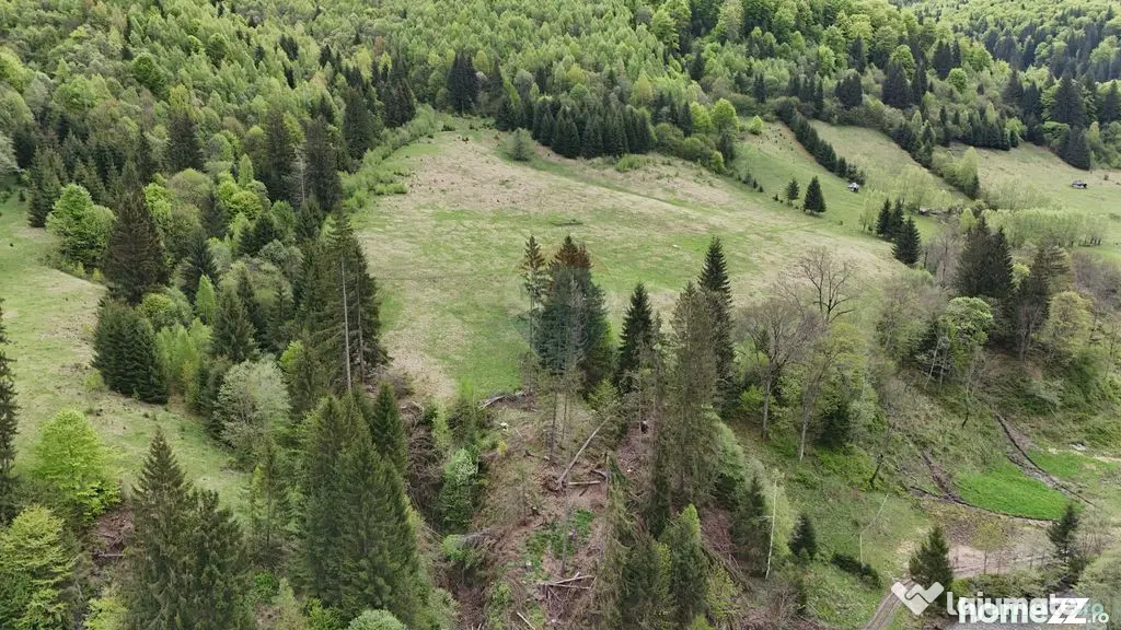 Extravilan + Intravilan | Sătic-Rucăr | Cadru natural |...