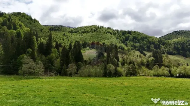 Extravilan + Intravilan | Sătic-Rucăr | Cadru natural |...