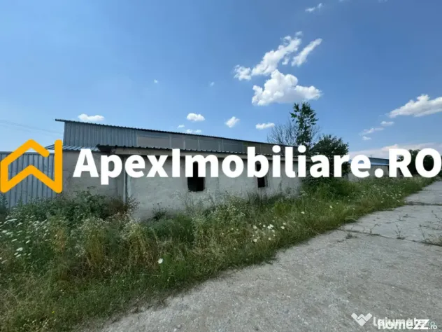 Hale Industriale de Vânzare Baicoi – 1100 mp + 800 mp, te