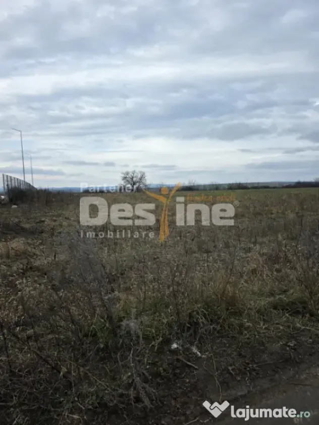 Teren intravilan 4028 mp, str Dimitrie Cantemir, Vaslui