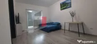 Garsoniera de inchiriat-Aparatorii Patriei-cu centrala