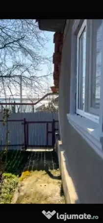 Casa la200 m de balta, Ulmu , judet Calarasi
