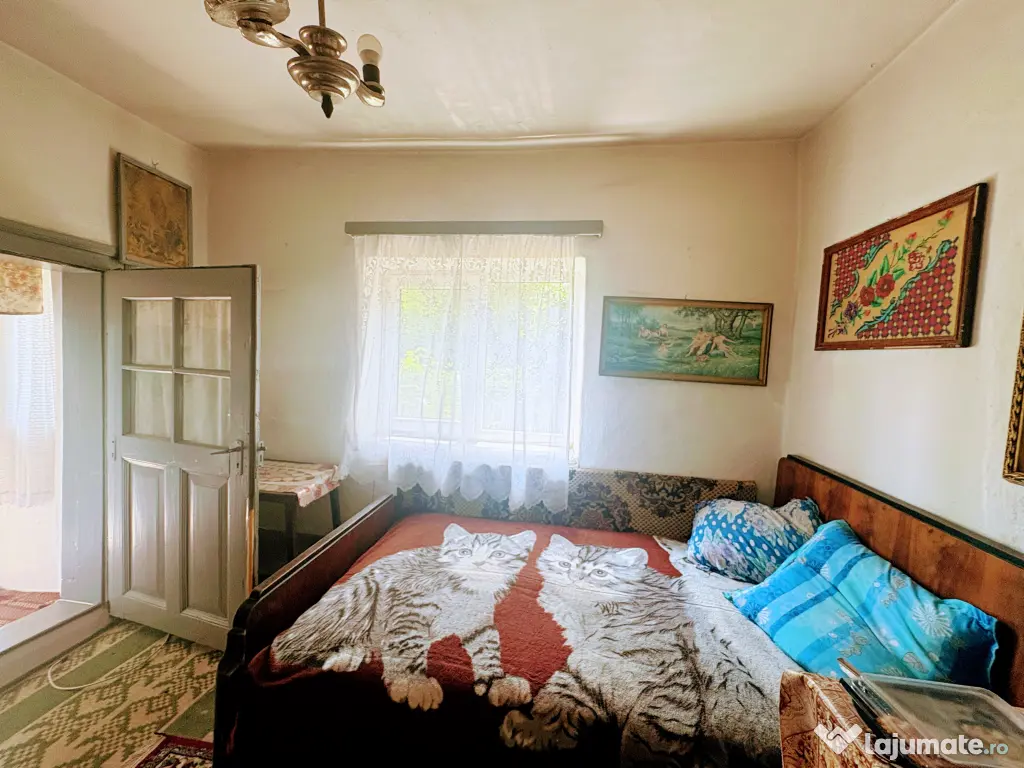 Casa la 200 m de balta, Ulmu, judet Calarasi