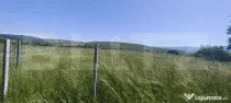 Teren intravilan de vânzare, 2650 mp, zona Valea Jelnei