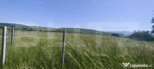 Teren intravilan de vânzare, 2650 mp, zona Valea Jelnei