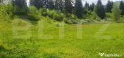 Teren intravilan, 2411 mp, zona Saru Dornei - Vatra Dornei 