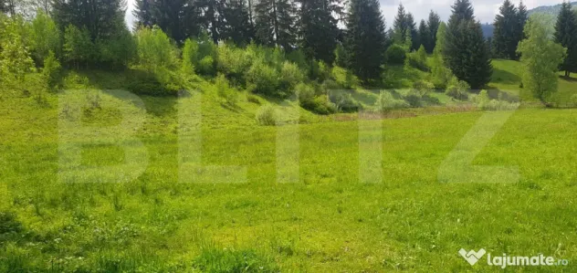 Teren intravilan, 2411 mp, zona Saru Dornei - Vatra Dornei