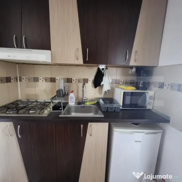 BLITZ va propune spre vanzare Garsoniera zona Sagului(Chiso