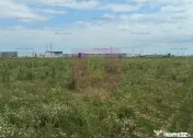 Teren Fundeni-Dobroesti 