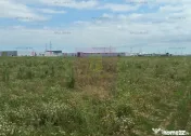 Teren Fundeni-Dobroesti