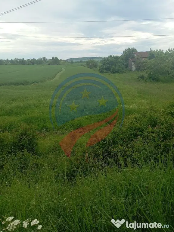 Teren 7140 mp de vanzare Murgasi - Oportunitate investiție