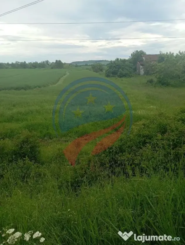 Teren 7140 mp de vanzare Murgasi - Oportunitate investiție