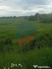 Teren 7140 mp de vanzare Murgasi - Oportunitate investiție