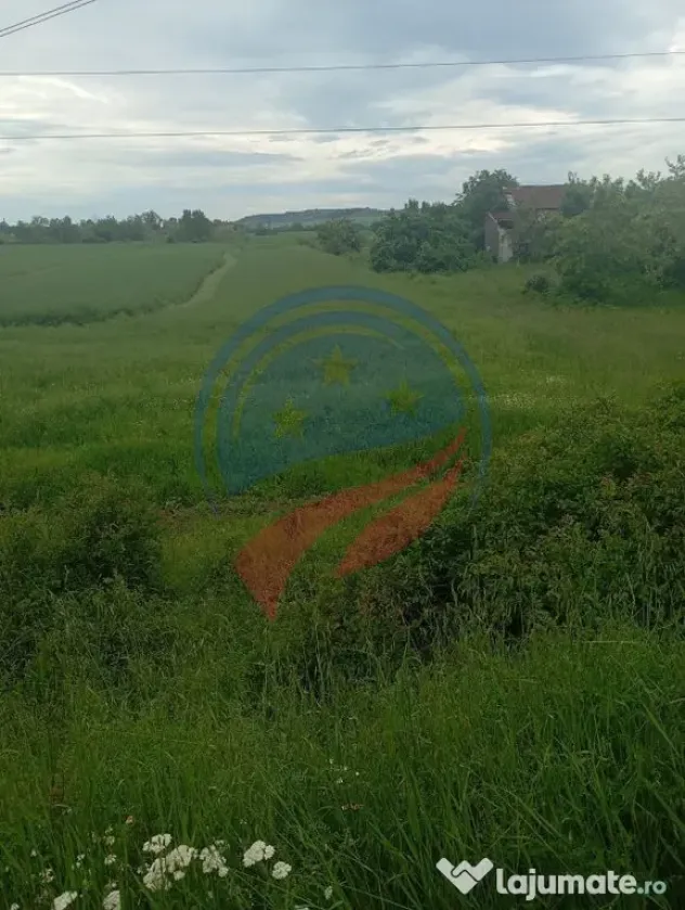 Teren 7140 mp de vanzare Murgasi - Oportunitate investiție