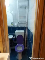 Dimitrie leonida drumul cretestilor confort 2