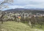 ???? Oportunitate investiție în Corbi, Argeș | 22.000 mp