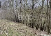 ???? Oportunitate investiție în Corbi, Argeș | 22.000 mp 
