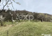 ???? Oportunitate investiție în Corbi, Argeș | 22.000 mp 